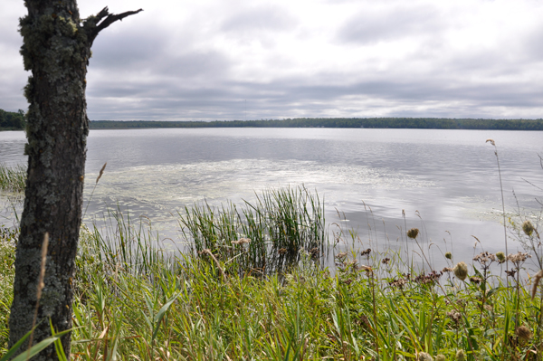 Lake Gogebic 